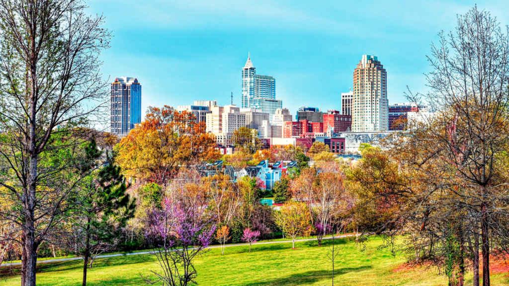 Holly Springs realtor; Raleigh NC real estate agent; moving to Holly Springs NC; Heather Donovan Real Estate;